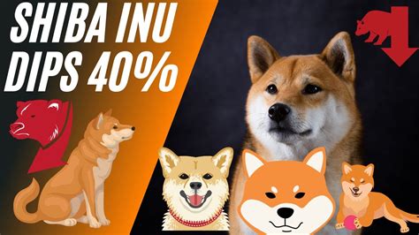 Why Did Shiba Inu Dip Will Shiba Inu Go Back Up Youtube