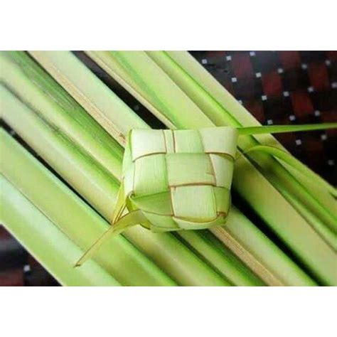 Jual Daun Kelapa Untuk Ketupat Daun Kelapa Muda Shopee Indonesia