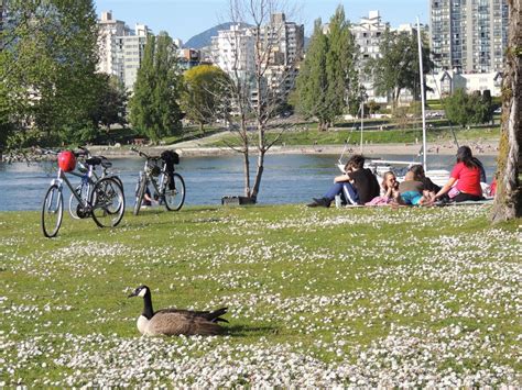 Costumbres De Canad Que Te Sorprender N Desc Brelas