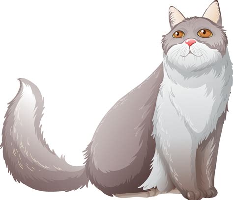 Fluffy Persian Cat Sitting On White Background 3736223 Vector Art At