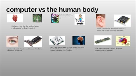 Comparison Between Computer And Human Being What Does A Human Do That