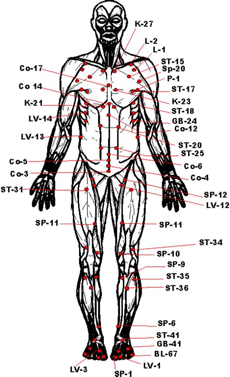 Vital Pressure Points Pictures Martial Arts Techniques Martial Arts