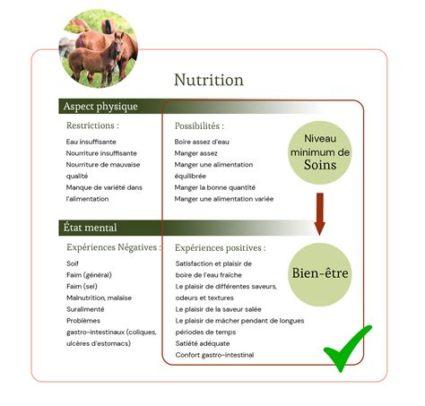 Le Bien Tre Du Cheval Ampascachi