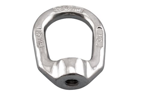 Stainless Steel Forged Lifting Eye Nut M