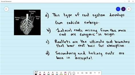 Solved Refer The Given Figure And Select The Incorrect Statement