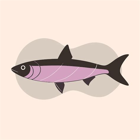 Premium Vector Sardine Fish Vector Illustration