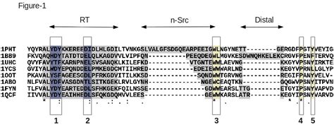 How To Interpret A Sequence Alignment LabXchange