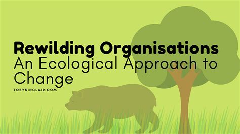 Rewilding Organisations An Ecological Approach To Change