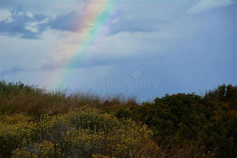 Rainbow Appearing Behind Nature after the Storm Stock Image - Image of meadow, filter: 174484155