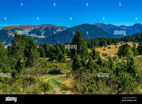 Forests And Meadows Of Andorra Stock Photo Alamy