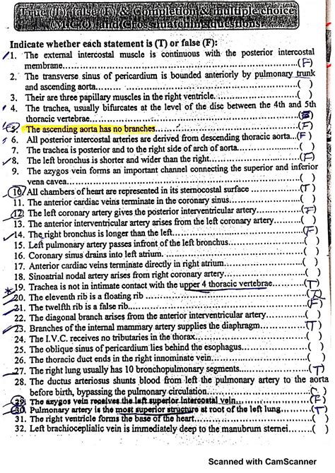 Solution Thorax Mcq Q And A Anatomy Most Important Questions Studypool