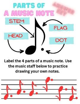 Parts of a Music Note Activity by Becca Joy Music | TPT