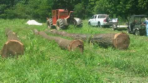 West Logging Llc Buyers Of Black Walnut White Oak And Red Oak