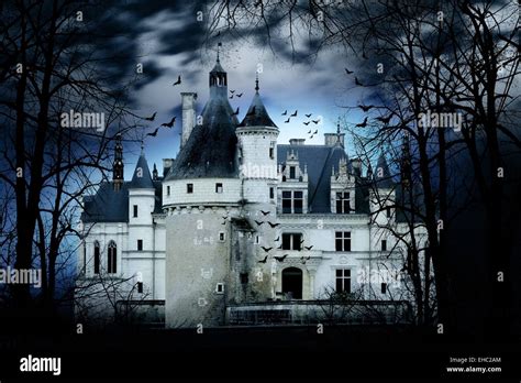 Haunted castle with dark scary horror atmosphere Stock Photo - Alamy