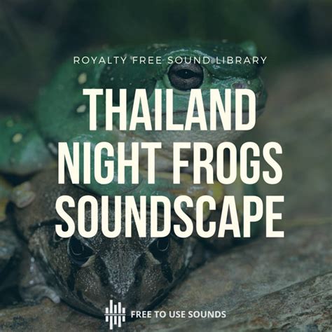 Frogs Croaking Sound Effects At Night Thailand | freetousesounds