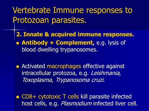 Ppt Evasion Of Immunity 2 Powerpoint Presentation Free Download Id1487835