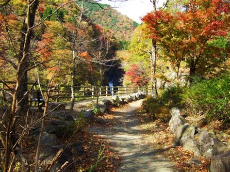 梅ヶ島を楽しむ 赤水の滝 Do 湯 農 梅ヶ島