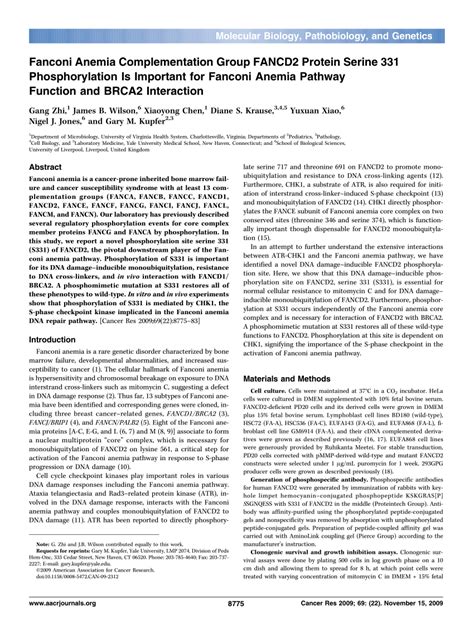 PDF Fanconi Anemia Complementation Group FANCD2 Protein Serine 331