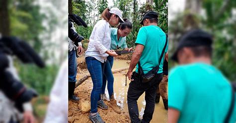 Diputada sancarleña gana recurso de amparo contra Ministro del Minae