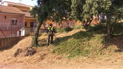 Palamós realitza actuacions de prevenció d incendis en espais forestals