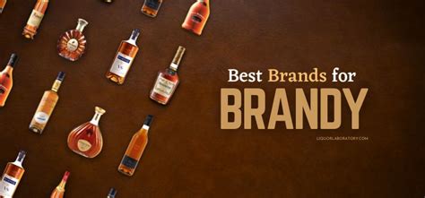 17 Best Brandy Brands Ranked & Reviewed (2023 Updated)