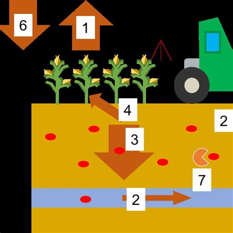 Transfertransport Fate Of Pesticide In The Environment 1