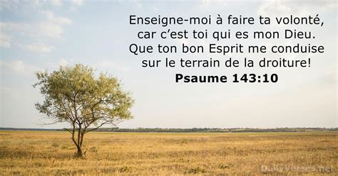 Psaume 143 10 Verset De La Bible DailyVerses Net