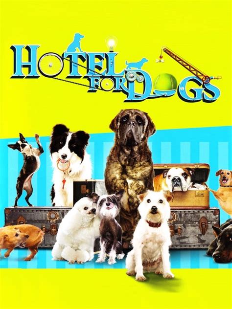 Hotel For Dogs News Guides Walkthrough Screenshots And Reviews