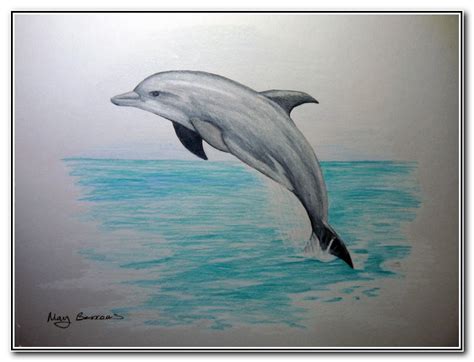 Dolphin Pencil Sketch at PaintingValley.com | Explore collection of ...