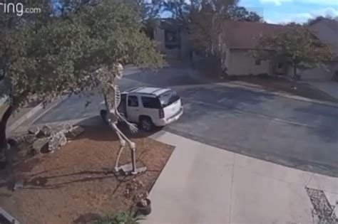 Halloween Skeleton Snatched From Texas Yard In Broad Daylight Caught On