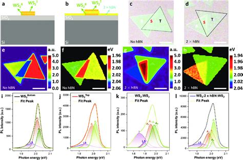 Pl Spectroscopy Of The Ws Ws And Ws Bilayer Hbn Ws Vlhs