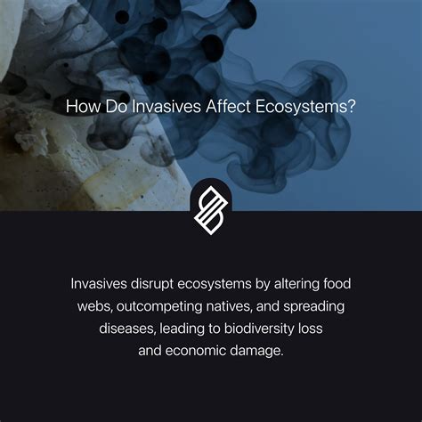 How Do Invasives Affect Ecosystems? → Question