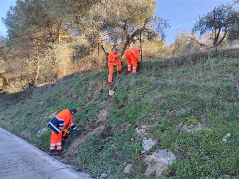 Patria Locale La Storia Della Provincia Di Perugia In Tre Tomi