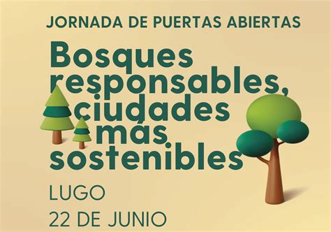 Un viaje hacia la sostenibilidad urbana desde la gestión forestal