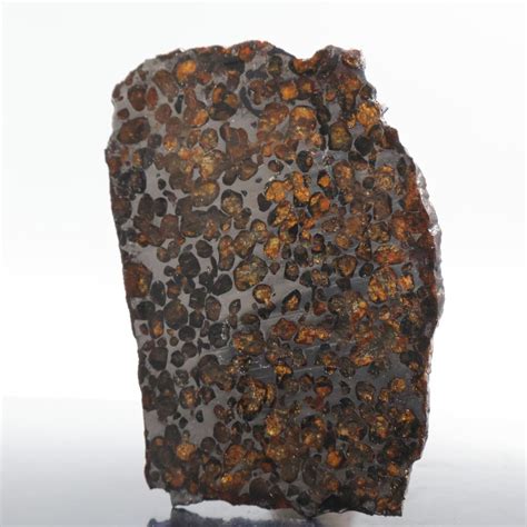 Sericho Meteorite Pallasite Complete Piece 123 G Catawiki