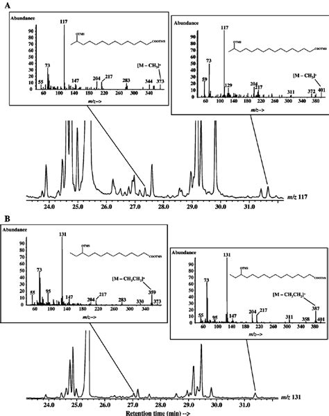 Partial Ion Chromatograms Of M Z 117 A And 131 B And EI Mass