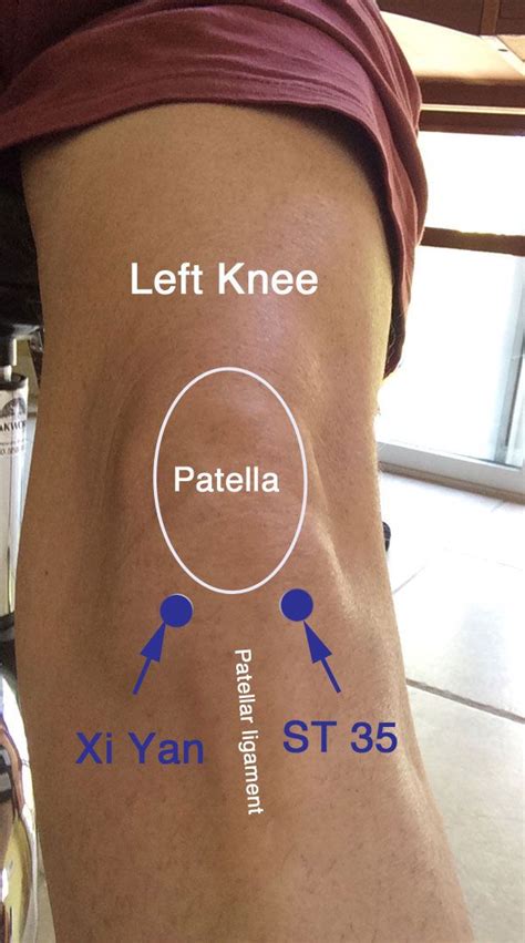 Two Points To Relieve Knee Pain Big Tree School Of Natural Healing