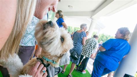 University of Florida Veterinary Hospital opens at WEC