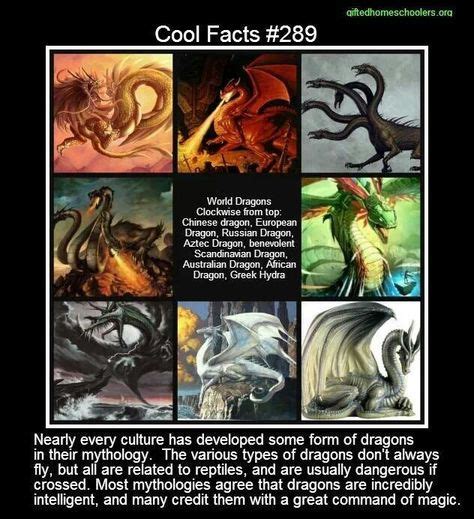 57 Mythical Creatures-Dragons ideas | mythical creatures, dragon art, creatures