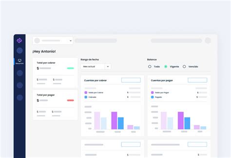 Vendorplace Plataforma De Control De Cobros Y Pagos