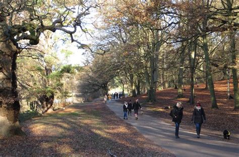 Windsor Great Park Walks — Team Activity Group