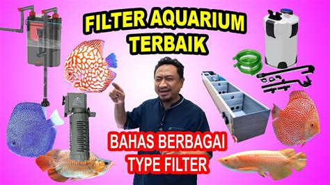 Type Filter Aquarium Terbaik Untuk Ikan Discus Arwana Main Ikan