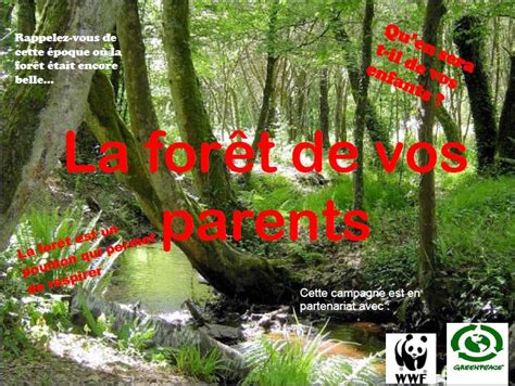 Fle En Vrac Wwf Protéger Le Poumon Vert De La Planète