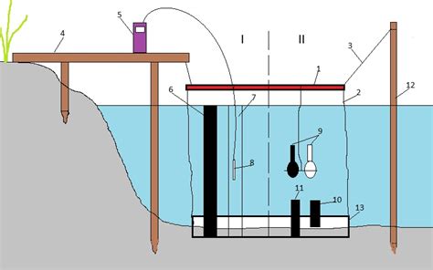 dissolved oxygen  dark bottle increase  incubation
