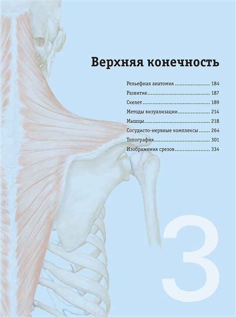 Книга "Sobotta. Атлас анатомии человека". Том 1. Купить атлас анатомии ...