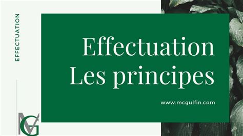 Les Principes De L Effectuation Youtube