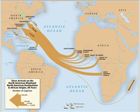 The Origins of Slavery | Gilder Lehrman Institute of American History