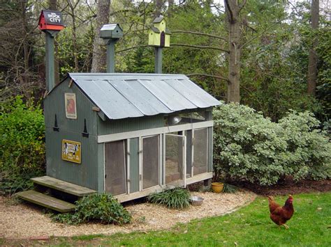 Chicken Coops For Backyard Flocks Landscaping Ideas And Hardscape