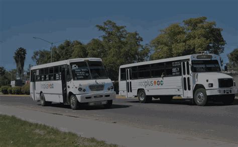 Suspender El Servicio De Transporte Tiene Efectos En Cascada No Debe