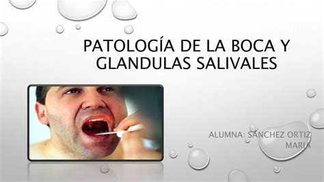 Patologia De La Boca Y Glandulas Salivales Maria Sanchez Ortiz Ppt